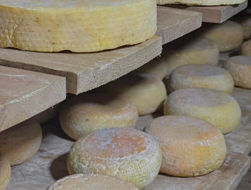 Käse aus Georgien