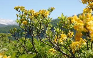 Wandern in Samegrelo