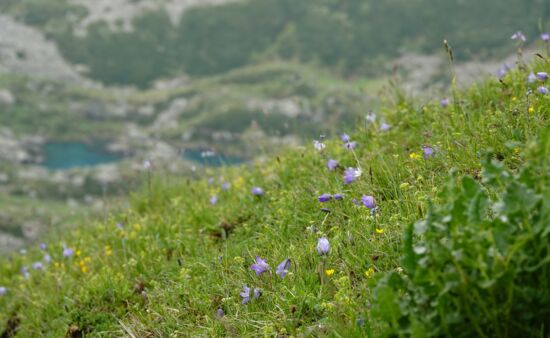 Wanderreisen Georgien, Chewsuretien Trekking