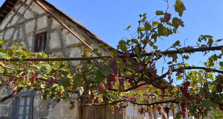 Fachwerkhaus in Assureti