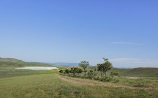 Salzseen in David Garedschi