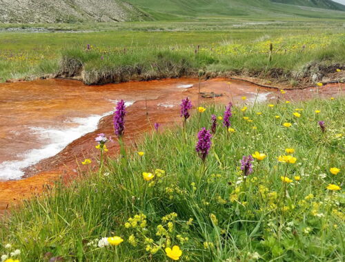 Wandern in Georgien