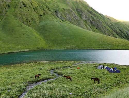 Camping am Tanie See