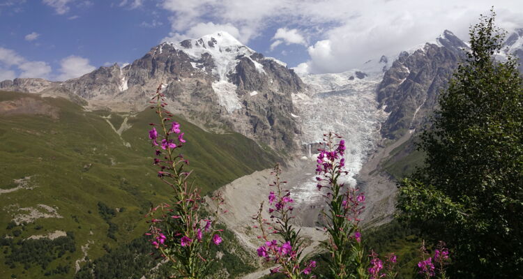 Tetnuldi Gletscher