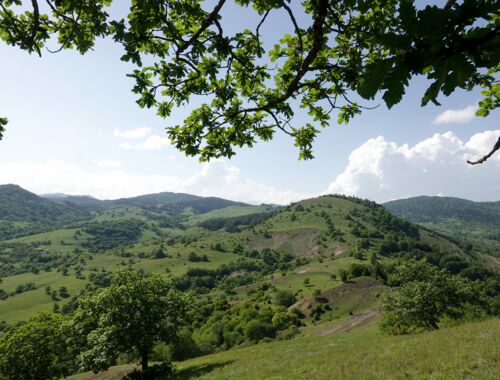Wandern im Algeti Nationalpark