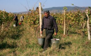 Weinreise Georgien