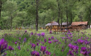 Aragvi Adventure Center