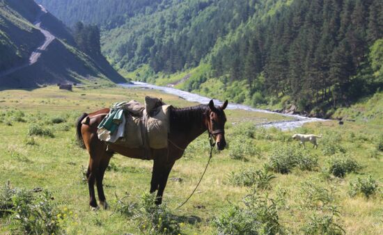 Tuschetien Trekking