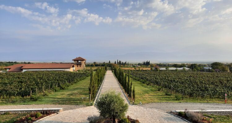 Weingut Mosmieri