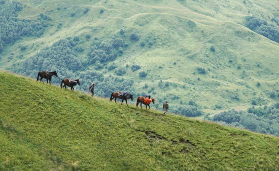 Trekking Georgien - Packpferde in Chewsuretien