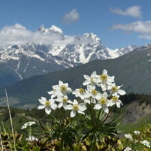 Swanetien Trekking