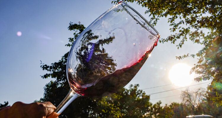 Weingut Obene in Samegrelo