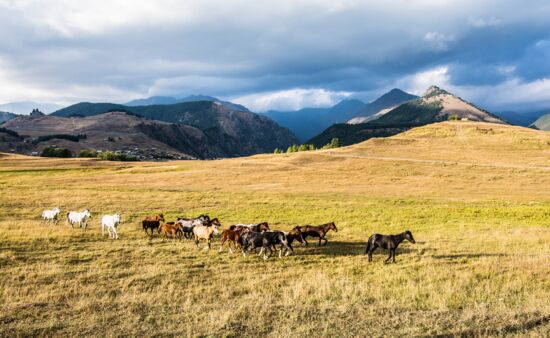 Fotoreisen Georgien - Tuschetien, Georgien