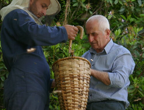 agrarreise-georgien-atscharien-gabriel-otari-gs.jpg