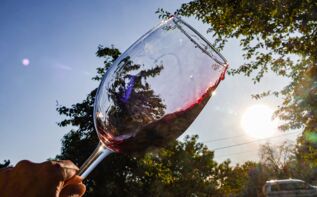 Weingut Obene in Samegrelo