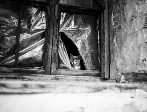 Street Photography Georgien