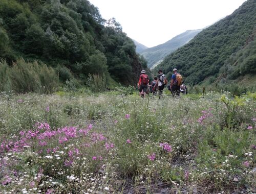 Wandern in Georgien