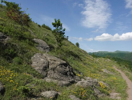 Algeti Nationalpark Georgien