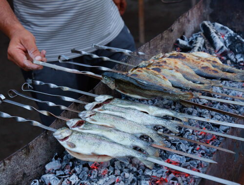 Gegrillte Forellen in Wardsia