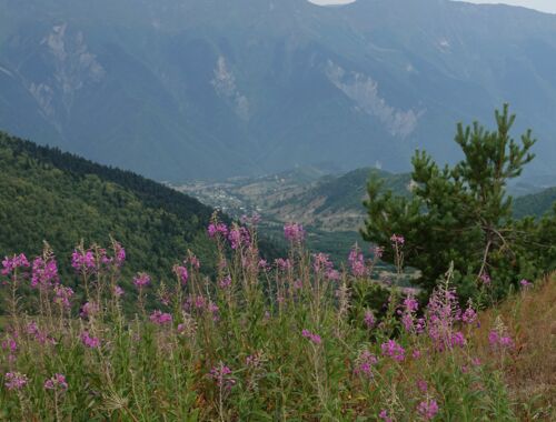 Baki Pass