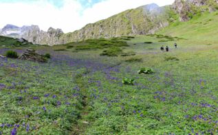 Ratscha (Racha) Trekking