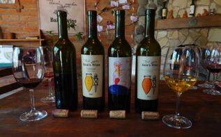 Baias Wine Georgien