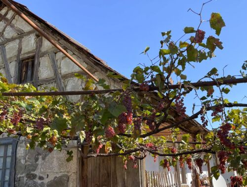 Fachwerkhaus in Assureti