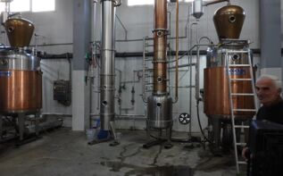 Anaseuli Schnaps Tschatscha
