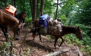 Wanderreise Georgien, Lagodechi Trekking