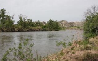 Waschlowani