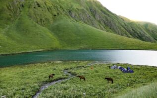 Camping am Tanie See