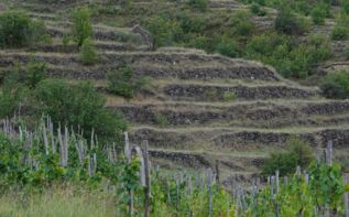 Chisabawra Weinterrassen Georgien