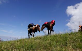 Wanderreise Georgien, Lagodechi Trekking