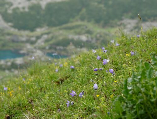 Wanderreisen Georgien, Chewsuretien Trekking