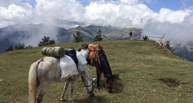 Wandern mit Packpferden