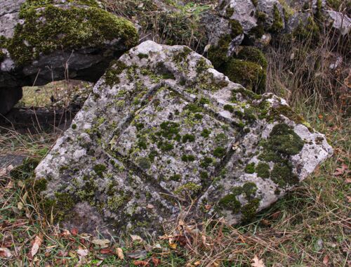 Petroglyphen Niederkartlien Georgien
