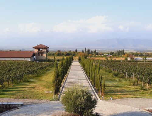 Weingut Mosmieri