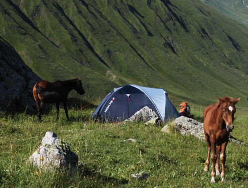 Chewsuretien Trekking