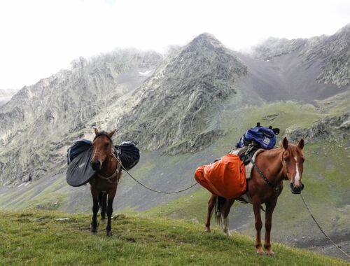 Pferde Trekking Georgien
