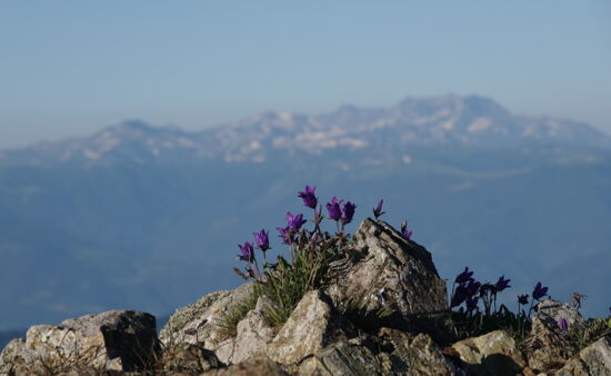 Wandern in Gurien