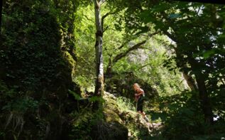 Birtwissi Canyon