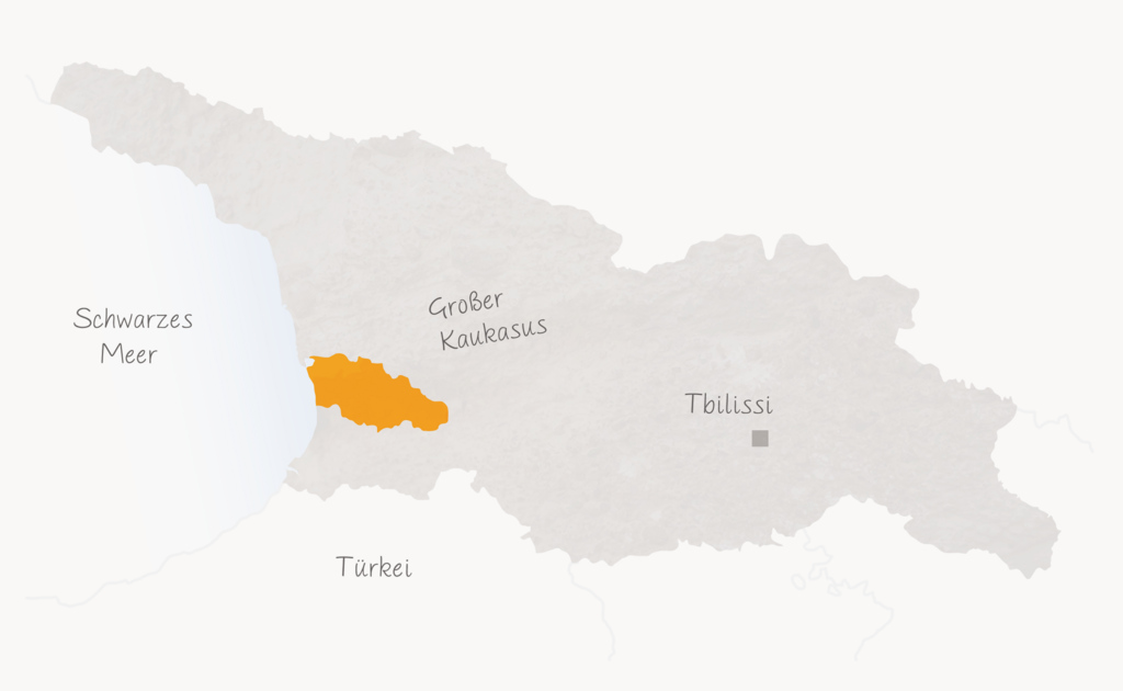 Gurien © Georgia Insight