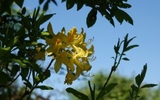Wandern in Samegrelo