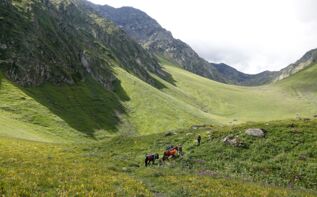 Tanie Trekking Chewsuretien