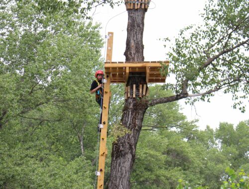 Zipline Aragvi Adventure Center Georgien