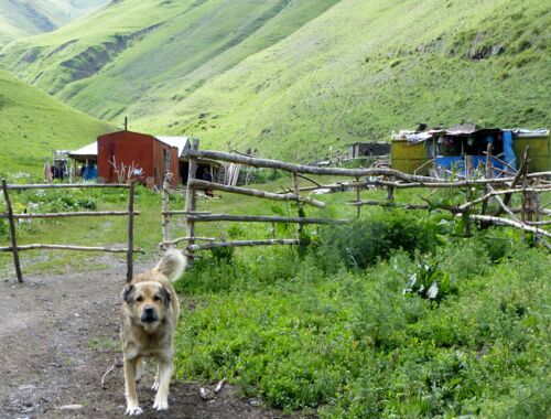 Chewsuretien Trekking