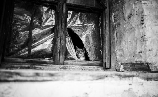 Fotoreisen Georgien - Street Photography in Tbilissi