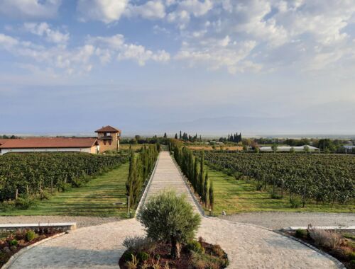 Weingut Mosmieri