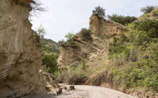 Pantischara Schlucht Waschlowani