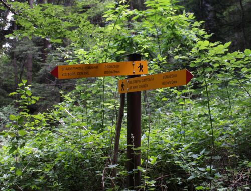 Bordschomi Trail Nationalpark